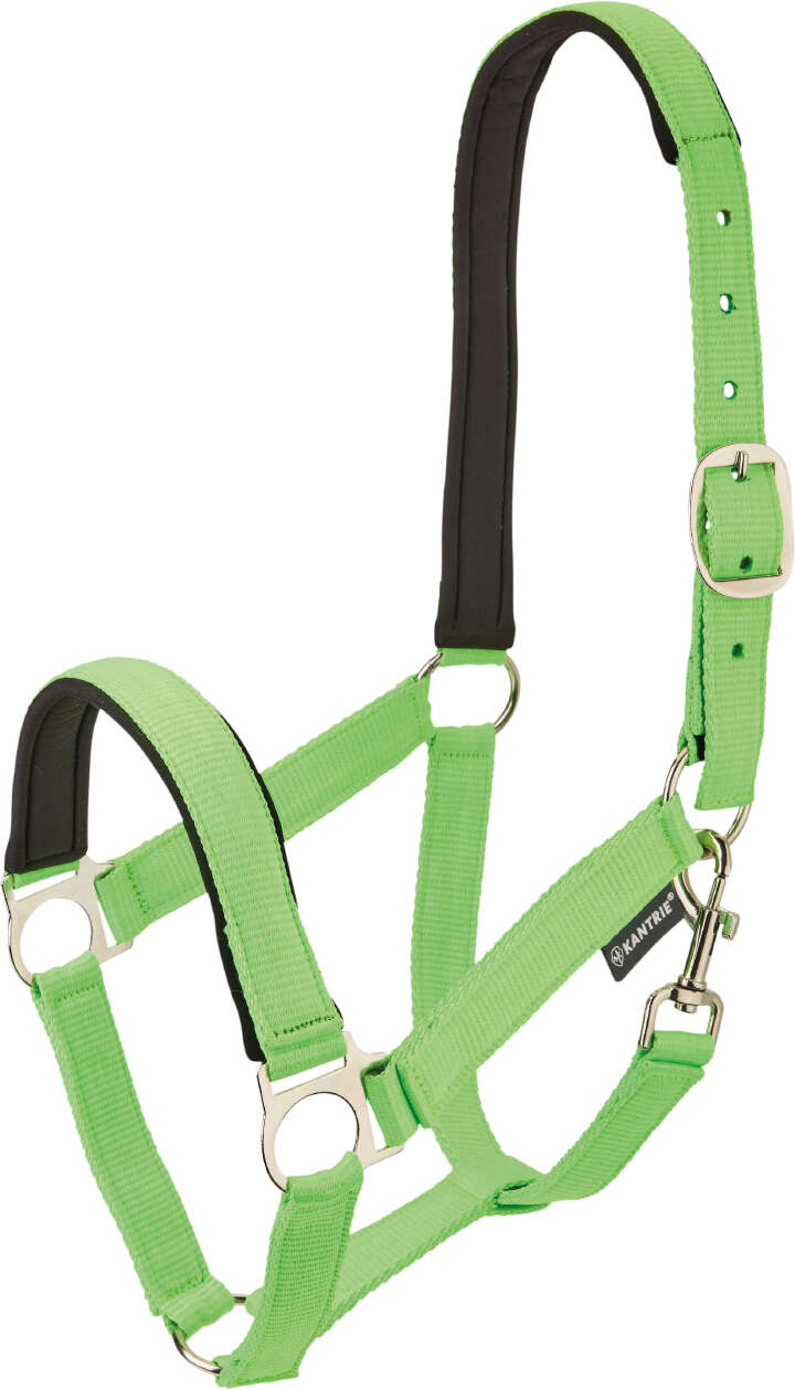 KANTRIE Halfter Meadow